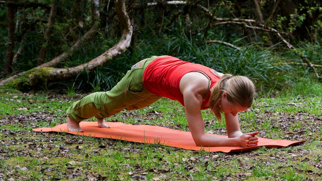 atmen_und_laecheln_plank-challenge